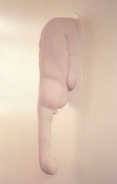 Megan Goltermann: 'Untitled 1, 2002'